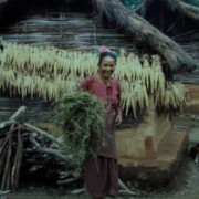 Women staying at Manakamana tended gardens beside their huts to supplement grain brought from their family property.